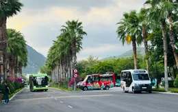 Gia tăng hợp tác vận tải du lịch Việt - Nga: Giải pháp giao thông du lịch nội thành mới tại Khánh Hòa.