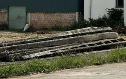 Đứt cáp khi cẩu cột điện, một công nhân tử vong