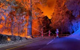 EU chủ động ứng phó cháy rừng