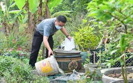 Chủ động phòng sốt xuất huyết: Mỗi nhà 10 phút, cộng đồng an toàn