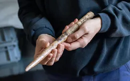 Phát hiện con người dùng xương cá voi làm công cụ từ 20.000 năm trước