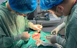 Bé trai bị chó nhà cắn nhiều vết thương vùng mặt