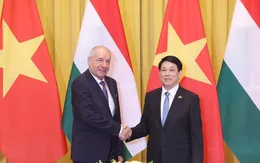 Chủ tịch nước Lương Cường hội đàm với Tổng thống Hungary