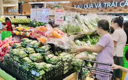 Tăng kết nối tiêu thụ nông sản chính vụ