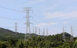 Đẩy nhanh tiến độ dự án đường dây 500 kV Lào Cai - Vĩnh Yên