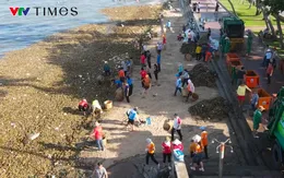 Rác tiếp tục tấn công bãi bỉển, TP Vũng Tàu huy động tổng lực dọn dẹp