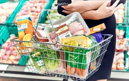 Ngày đầu hộ kinh doanh triển khai hóa đơn điện tử