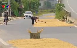 Phơi thóc lúa giữa quốc lộ, nguy cơ tai nạn giao thông rình rập