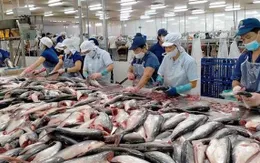 Xuất khẩu thủy sản tăng 14% so với cùng kỳ