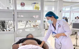Đắk Lắk: 8 người ngộ độc sau bữa ăn nấm rừng, 1 ca tổn thương gan thận