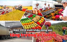 Việt Nam - Hoa Kỳ thúc đẩy hợp tác xuất nhập khẩu nông sản