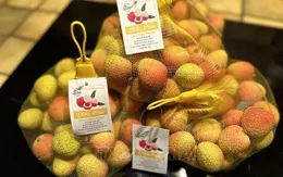 2 tấn vải thiều tươi Việt Nam đã có mặt tại Pháp