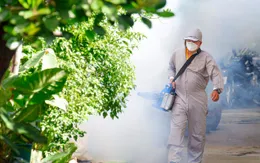 Phản ánh điểm nguy cơ sốt xuất huyết qua ứng dụng của ngành Y tế