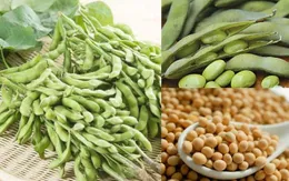 Thúc đẩy xuất nhập khẩu nông sản Việt Nam - Mỹ