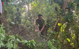 Lai Châu: Nỗ lực vì sự bình yên cho mỗi cánh rừng