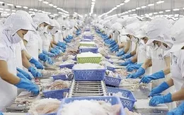 Xuất khẩu thủy sản nhiều gam màu sáng