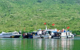 Tái tạo nguồn lợi, phục hồi rạn san hô vịnh Nha Trang - Hướng tới xây dựng cộng đồng biển xanh