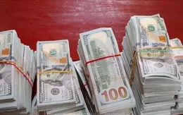 Vụ buôn lậu gỗ ván 1.800 tỷ: Cán bộ hải quan nhận “lót tay” hơn 8 tỷ đồng