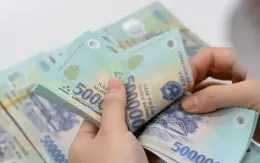 Người đang hưởng lương hưu được nhận chế độ một lần trong trường hợp nào?