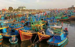 Bình Định kêu gọi 40 tàu cá trong vùng nguy hiểm của áp thấp nhiệt đới tìm nơi tránh trú an toàn