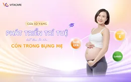 Giải mã hệ dinh dưỡng giúp trẻ học nhanh, nhớ lâu từ trong bụng mẹ