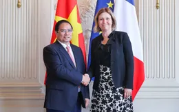 Đưa quan hệ Việt Nam-Pháp ngày càng đi vào chiều sâu, hiệu quả, thiết thực