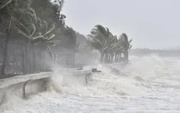 Công điện ứng phó áp thấp nhiệt đới: Siết quản lý tàu thuyền, sẵn sàng cứu nạn