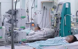 Sốt xuất huyết gia tăng mạnh - Cảnh báo nguy cơ bệnh nặng ở trẻ em
