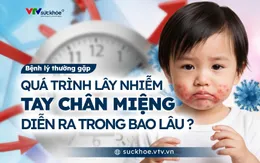 Quá trình lây nhiễm tay chân miệng diễn ra trong bao lâu?