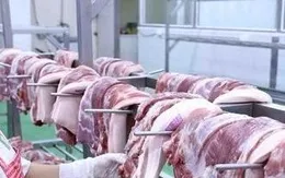 Trung Quốc gia hạn điều tra thịt lợn EU