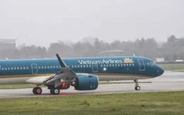 Hàng loạt chuyến bay bị ảnh hưởng do bão số 1