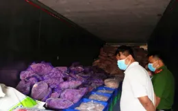 Bình Dương thu giữ hơn 11 tấn thịt lợn, thịt gà, xúc xích “bẩn”