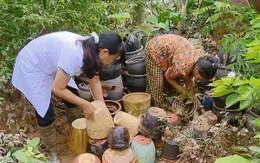 Cảnh báo nguy cơ dịch bệnh bùng phát sau mưa lũ, ngập úng