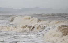 Bão số 1 đổi hướng Đông Bắc với sức gió giật cấp 13