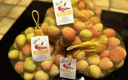 Hơn 100 tấn vải thiều đã xuất khẩu sang Pháp