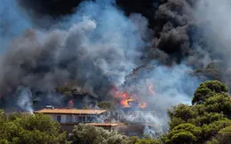 Cháy rừng dữ dội gần thủ đô Athens, Hy Lạp