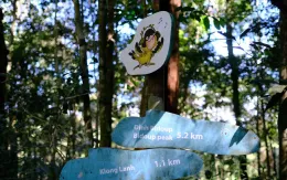 Vietnam BirdRace 2025: Đòn bẩy cho du lịch sinh thái có trách nhiệm tại Việt Nam