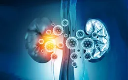 Tác động bất ngờ của vaccine COVID-19 đến chức năng thận