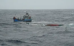 Tàu cá chìm gần đảo Lý Sơn, 11 ngư dân thoát nạn