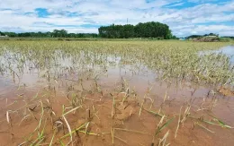 Quảng Trị công bố tình huống khẩn cấp thiên tai