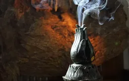 Kỳ nam trầm hương - Điều kỳ diệu của rừng thiêng Việt Nam