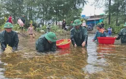 Quảng Trị: Dành 320 tỷ đồng khắc phục hậu quả mưa lũ do bão số 1