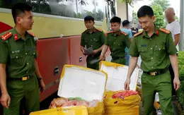 Sơn La: Phát hiện xe khách chở 476 kg nội tạng không rõ nguồn gốc lúc rạng sáng