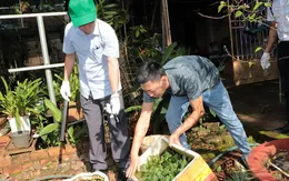 Infographic: Những hành vi nào bị xử phạt trong phòng, chống bệnh sốt xuất huyết?