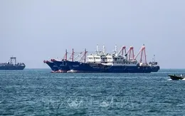 Giá thuê tàu chở dầu qua eo biển Hormuz tăng vọt