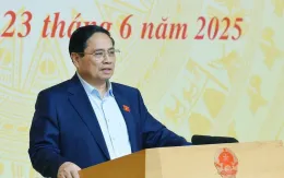 Thủ tướng: Triệt phá tận gốc tình trạng buôn bán thuốc chữa bệnh giả, thực phẩm giả