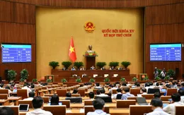 Nghiên cứu, tổ chức giám sát việc sắp xếp đơn vị hành chính cấp tỉnh, xã