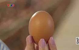 Giá trứng gà khởi sắc