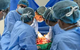 Một trái tim dừng lại, nhiều sự sống bắt đầu
