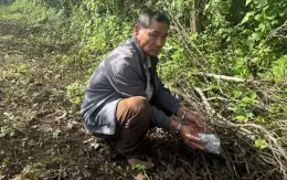 Phát hiện vợ chồng hờ mua bán ma túy, nuôi 10 con chó xung quanh nhà để cảnh giới